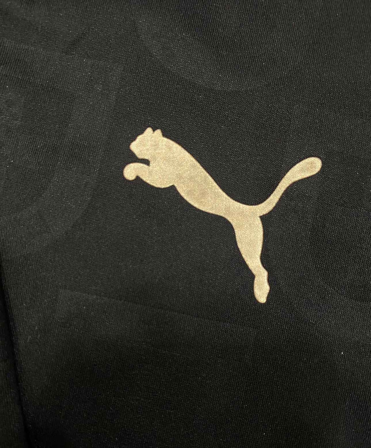 Portugal black panther jersey 2026 Player version (full sleeves)