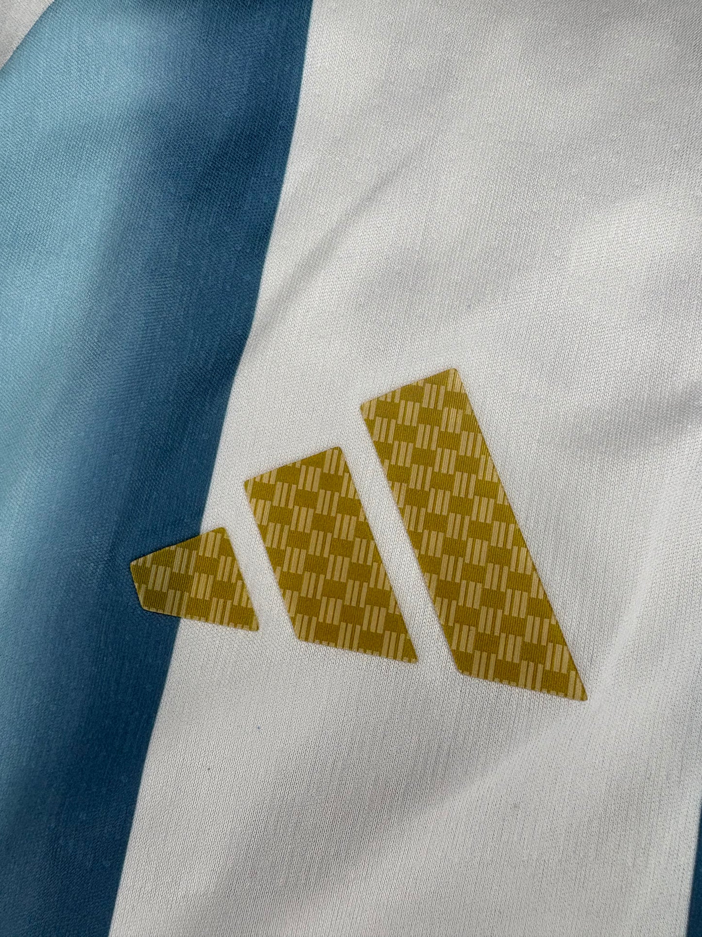 Argentina Home Worldcup 2026 Player Version Logos (full sleeves)